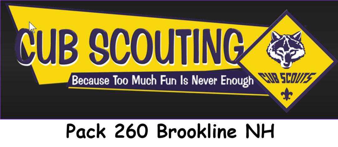 Pack 260 Brookline